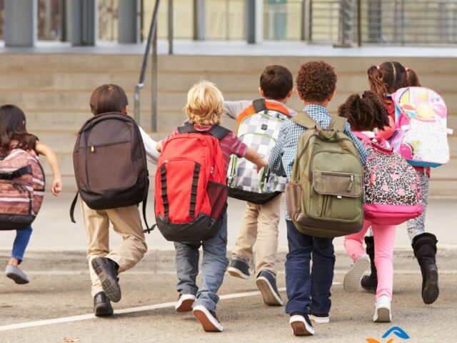 When Your Child’s IEP Is Not Working: Should You Hire a Special Education Advocate or Attorney?